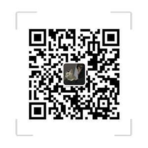 有没有便宜点的AI算力显卡?_奇点创投；(sigulardot.com)